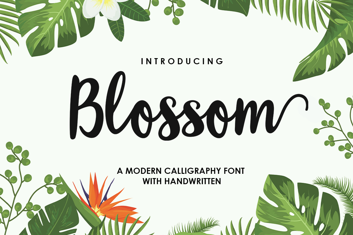 Exploring the Elegance of Blossom Script Font