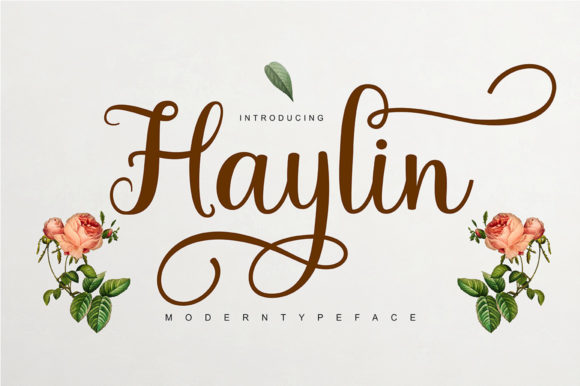 Haylin Script: Crafting Elegance in Every Glyph