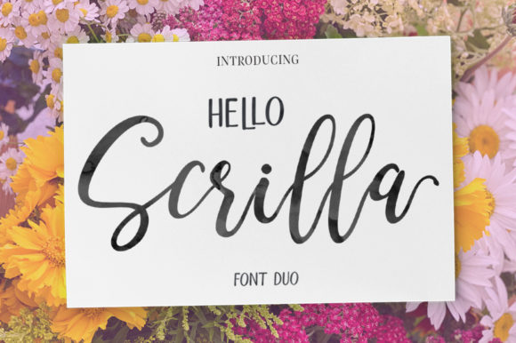 Hello Scrilla Script Font: A Designer's Go-To Duo
