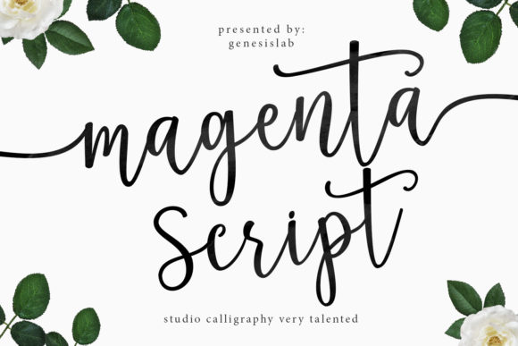 Magenta Script: Where Modern Cursive Meets Creative Elegance