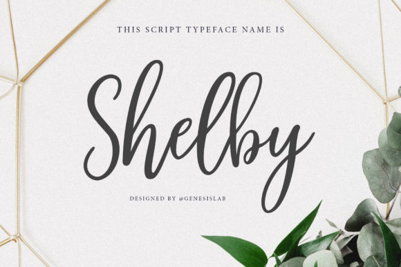 Shelby Script: Bridging Timeless Elegance and Modern Branding